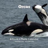 Orcas 8.5 X 8.5 Calendar September 2021 -December 2022