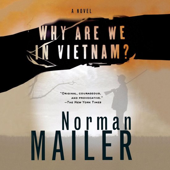 Why Are We in Vietnam? - cover