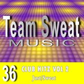 Club Hitz: Volume 2