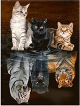 Diamond painting 40 x 50 cm - 3 Katten - spiegelbeeld