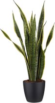 Kamerplant van Botanicly – Vrouwentongen incl. sierpot zwart als set – Hoogte: 80 cm – Sansevieria Laurentii