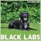 Black Labs Calendar 2021