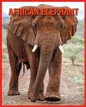 African Elephant