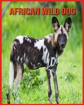 African wild dog