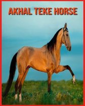 Akhal Teke Horse