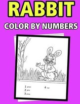 Rabbit color by numbers