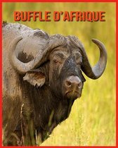 Buffle d'Afrique