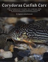 Corydoras Catfish Care