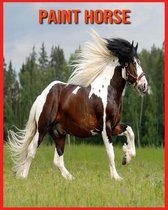 Paint Horse