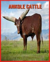 Ankole Cattle