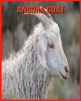 Angora Goat