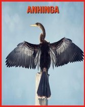 Anhinga