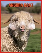 Angora Goat