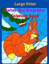 Large Print Color By Number Coloring Book