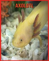 Axolotl