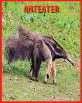 Anteater