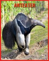 Anteater