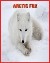 Arctic Fox