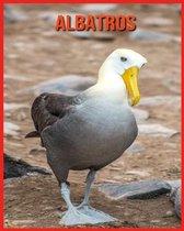 Albatros