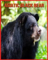 Asiatic Black Bear