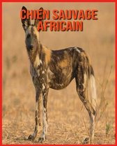 Chien Sauvage Africain