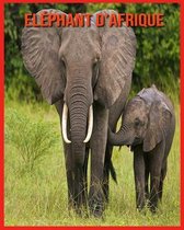 Elephant d'Afrique