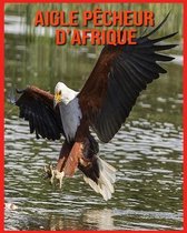 Aigle Pecheur d'Afrique