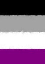 Asexual Pride Flag Journal