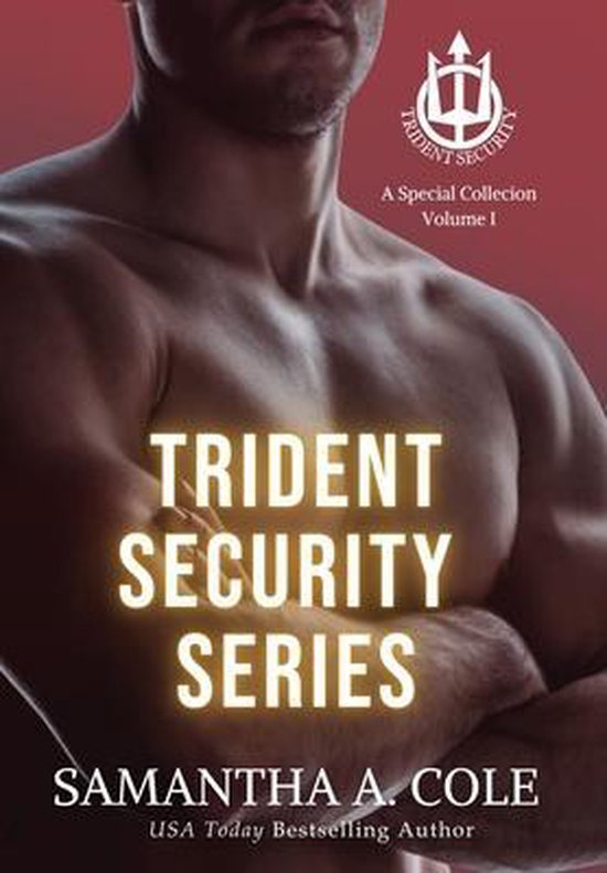 Trident Security- Trident Security Series - cover