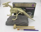Dinosaurus opgravingsset - Parasaurolophus - Speelgoed - Dino fossiel