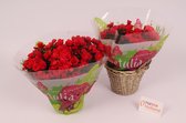 2 Stuks - Tuinplanten - Kamerplanten - Begonia - Betulia Rood -  Binnenplant en Buitenplant - Balkon en Terras - Tuinplant - Bloeiend - Kleurrijk - ⌀19 cm - Hoogte 38cm - Vers uit