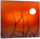 Tuinposter – Takken met Oranje Lucht - 100x100cm Foto op Tuinposter  (wanddecoratie voor buiten en binnen)