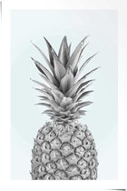 Poster Ananas