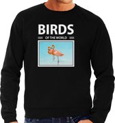Dieren foto sweater Flamingo - zwart - heren - birds of the world - cadeau trui Flamingos liefhebber L