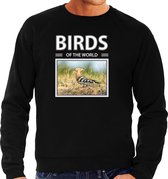 Dieren foto sweater Hop - zwart - heren - birds of the world - cadeau trui Hop vogels liefhebber S