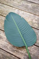 Rivièra Maison - Strelitzia Leaf (M) - Decoratieve Tak - Groen