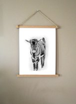 Poster met posterhanger, kinderkamer, baby geit, zwart wit, boerderijdieren