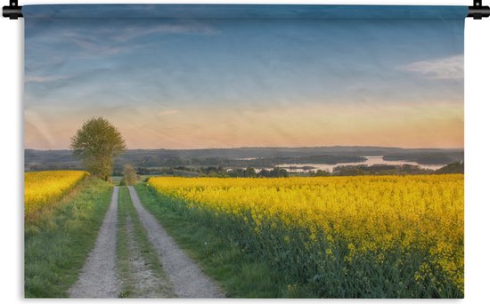 Wandkleed Bloemenweide - Weg door een bloemenweide met gele bloemen Wandkleed katoen 60x40 cm - Wandtapijt met foto