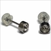 Aramat jewels ® - Zweerknopjes geboortesteen oorbellen transparant transparant chirurgisch staal 5mm