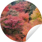 Forêt circulaire de jardin avec Érables japonais à Kyoto - 150x150 cm - Poster de jardin rond - Extérieur