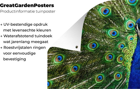 Affiche de jardin Paon - Ressorts - Yeux - 80x40 cm