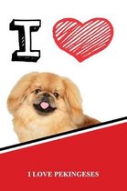 I Love Pekingeses