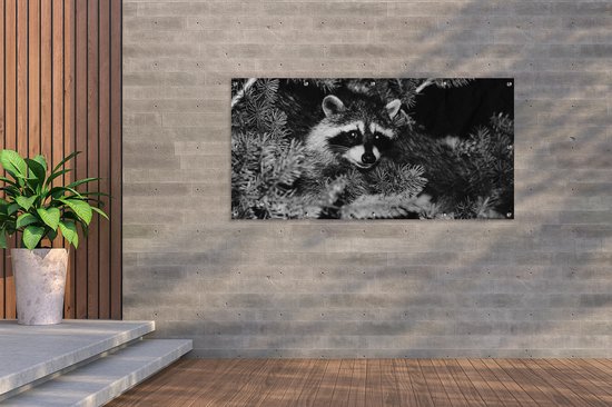 Lot De 4 Impressions Murales Raton Laveur Noir Et Blanc - Format 12x16 Pouces (environ 30x40 Cm) - Sans Cadre