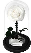 Roses of Eternity - Roos in glazenstolp - Longlife roos  Romantisch - Cadeau voor vrouw - vriendin - haar - liefdes - huwelijk - Valentijnsdag - Kerst - wit