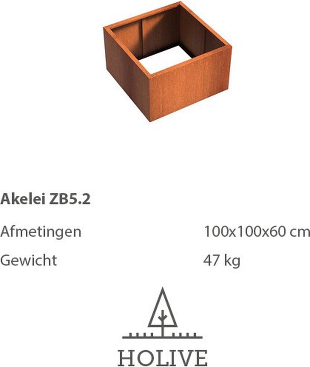 Cortenstaal Akelei ZB5.2 Vierkant zonder bodem 100x100x60 cm. Plantenbak
