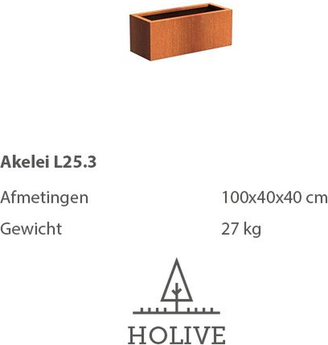 Cortenstaal Akelei L25.3 rechthoek 100x40x40 cm. Plantenbak