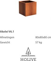 Cortenstaal Akelei V6.1 Vierkant 80x80x80 cm.  Plantenbak