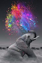 Diamond Painting Olijke Olifant 40 x 60  ronde steentjes