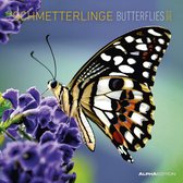 Schmetterlinge 2022 30x30