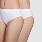 DIM SLIP 2 PACK PUR COTON MIDI SLIPS D 34722E0030HY4-42/44